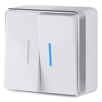 Выключатель двухклавишный с подсветкой Gallant (белый) WL15-03-03