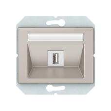 USB розетка XP500, без рамки, шампань