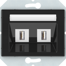 USB - розетка 2-местная (2хUSB) XP500, без рамки, черный