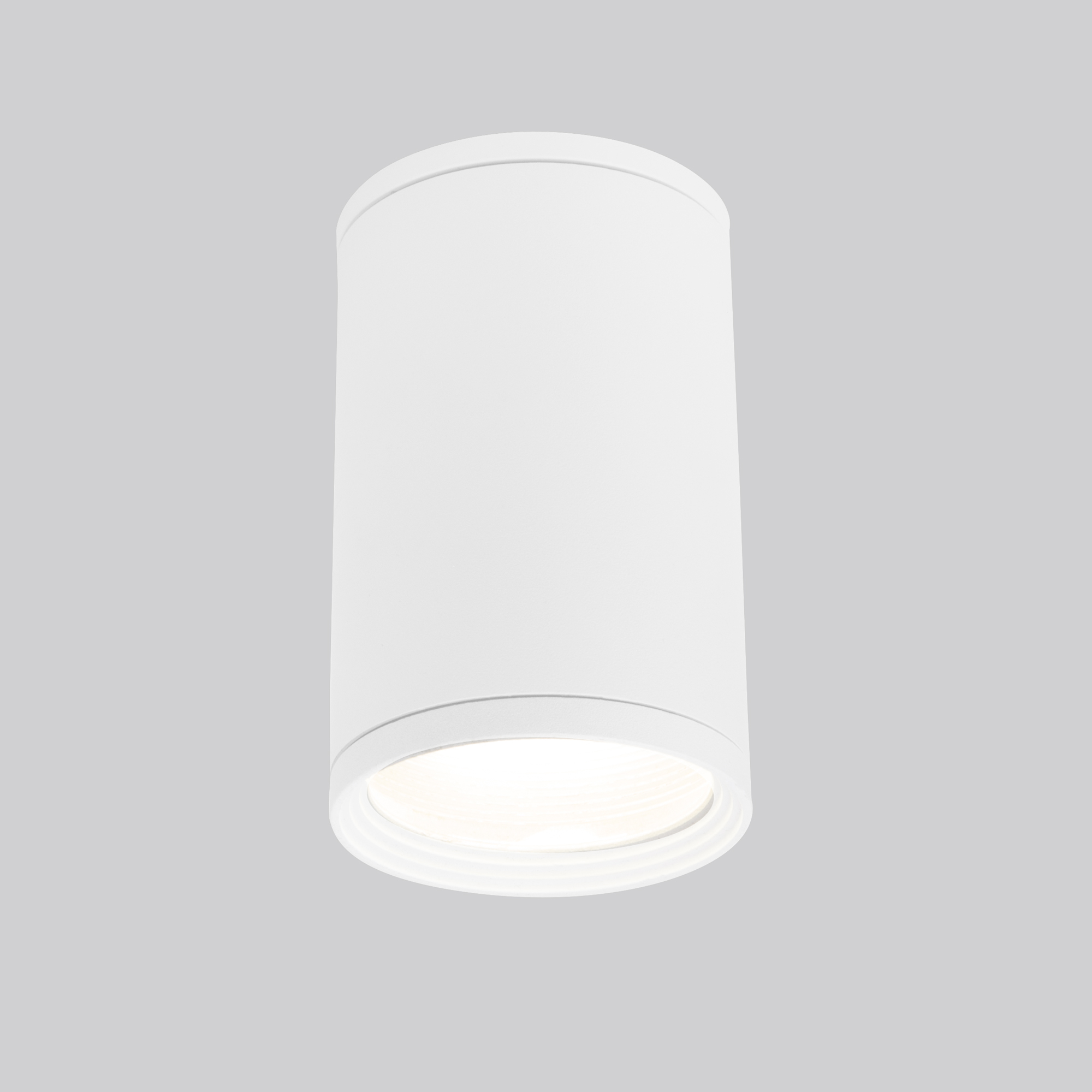 Уличный потолочный светильник Light 2101 IP65 35128/H белый Уличный потолочный светильник Light 2101 IP65 35128/H белый