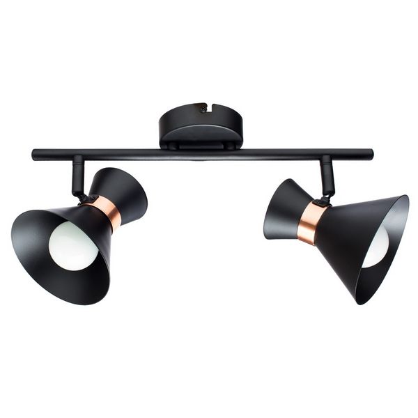 Спот Baltimore A1406AP-2BK Artelamp Спот Baltimore A1406AP-2BK Artelamp